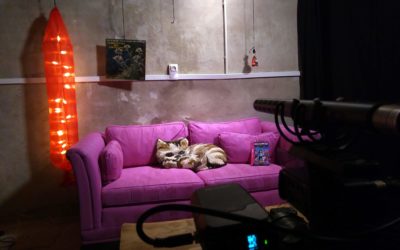 Le vidéomaton du collectif Faun(es) au tri-porteur