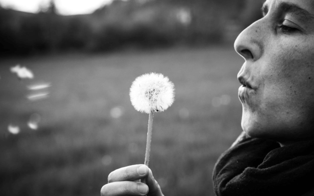 Sur le bout de la langue #9 J’ai une histoire à raconter…