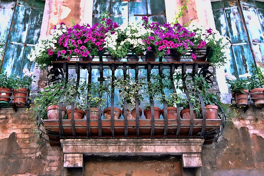 venice-flower-balcony-allen-beatty À mon balcon radiola