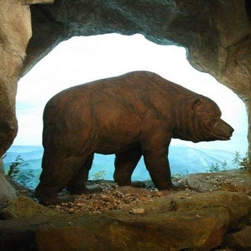 fête de l'ours dieulefit fête de l'ours dieulefit