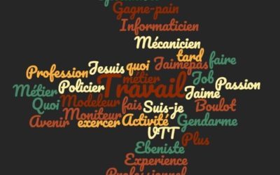 TU FAIS KÔA TOI ? #6 informaticien par Ryan