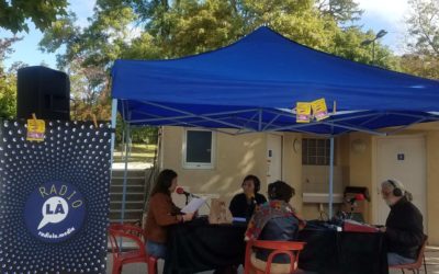 L’entrepreneuriat au féminin