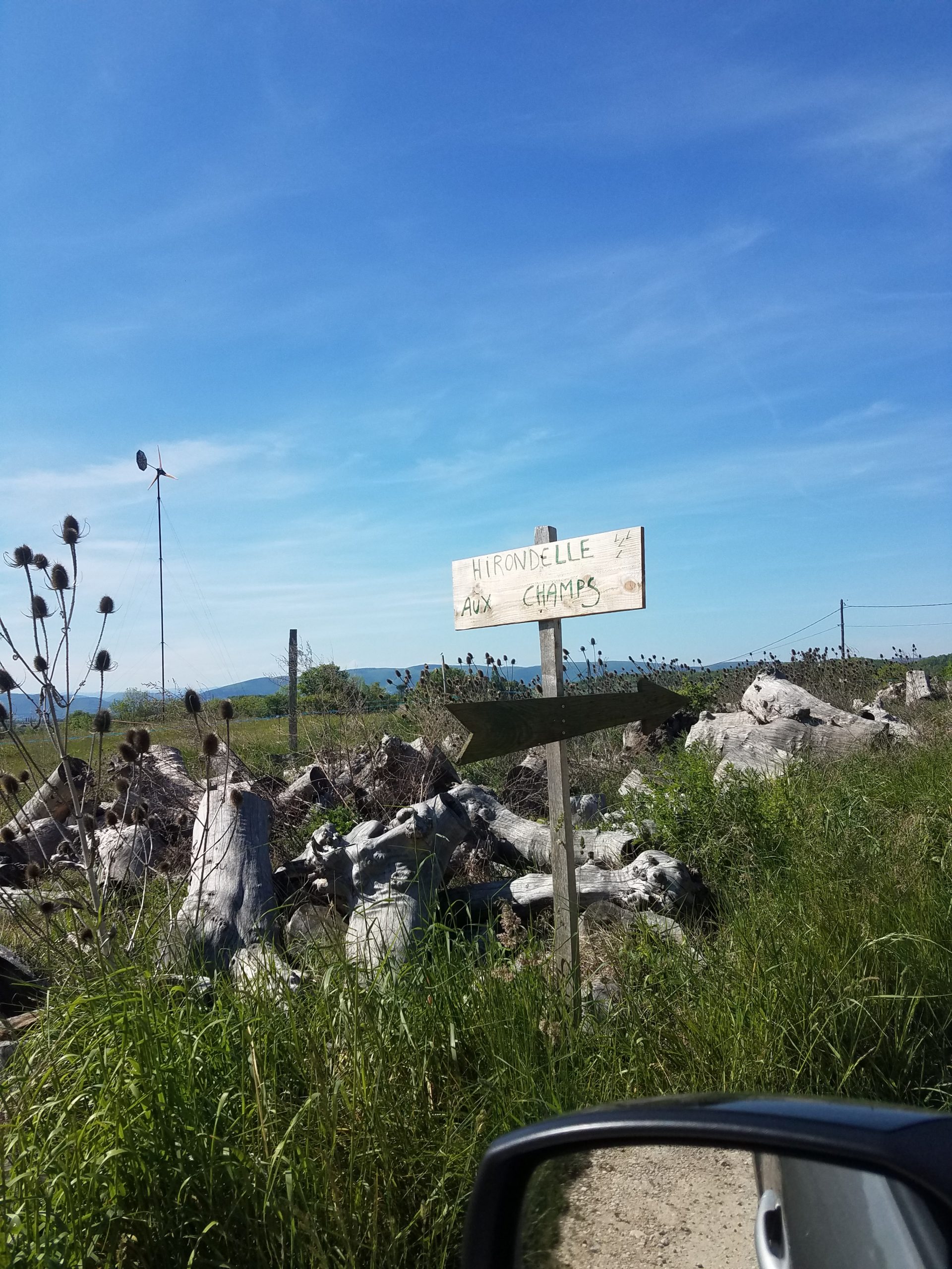 20220427_162033 hirondelle-aux-champs-1