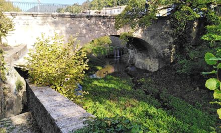 Les quatre saisons de l’eau : un été au bord du Jabron