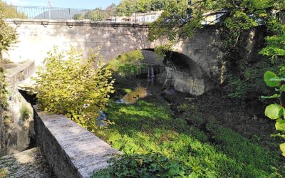 Les quatre saisons de l’eau : un été au bord du Jabron