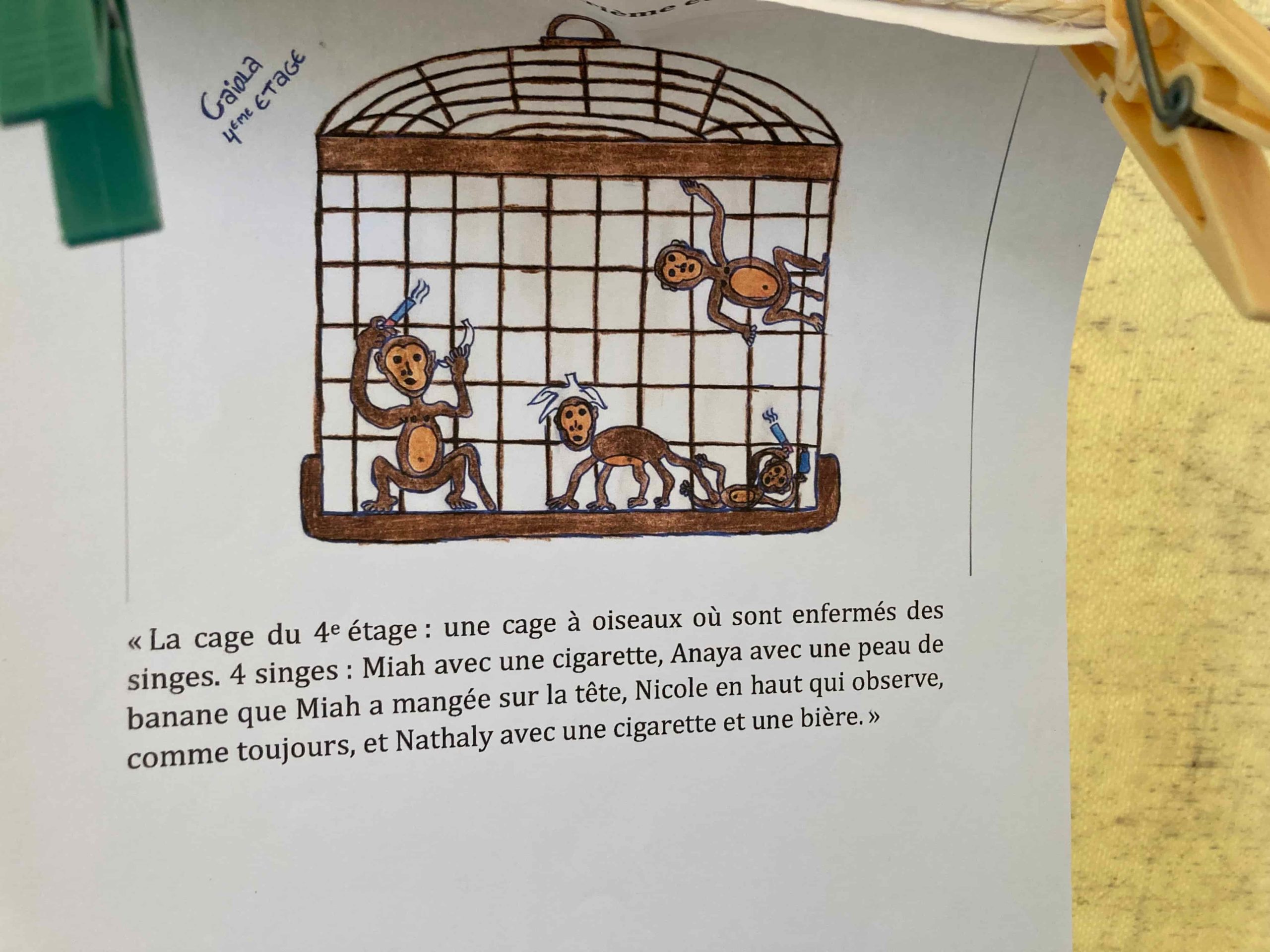 Extrait choisit du carnet de terrain de Ludine Cayla