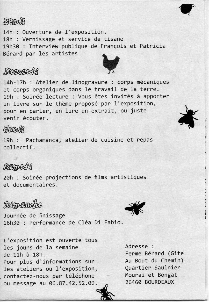 transplantations : programme