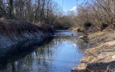 Les quatre saisons de l’eau : biodiversité et continuité écologique dans le Jabron