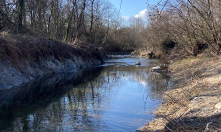 Les quatre saisons de l’eau : biodiversité et continuité écologique dans le Jabron