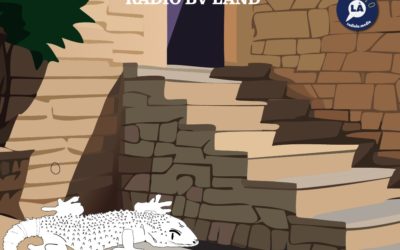 Radio BVLand – La tarente de Maurétanie par Cooper