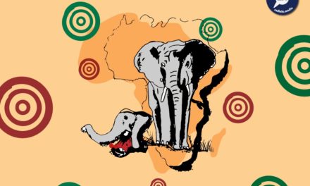 Radio BVLand – Les éléphants en danger par Enzo