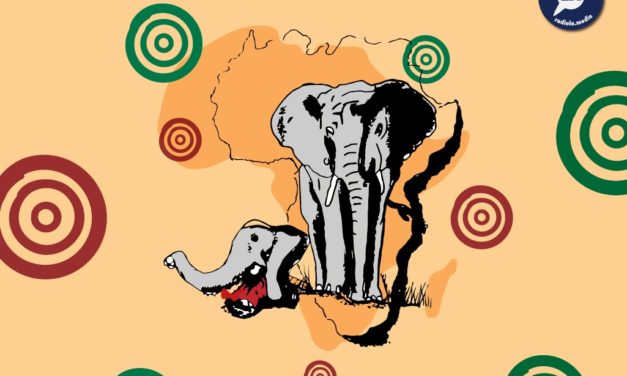 Radio BVLand – Les éléphants en danger par Enzo
