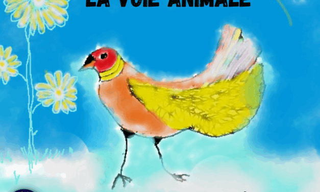 La voie animale #1 Les animaux de compagnie