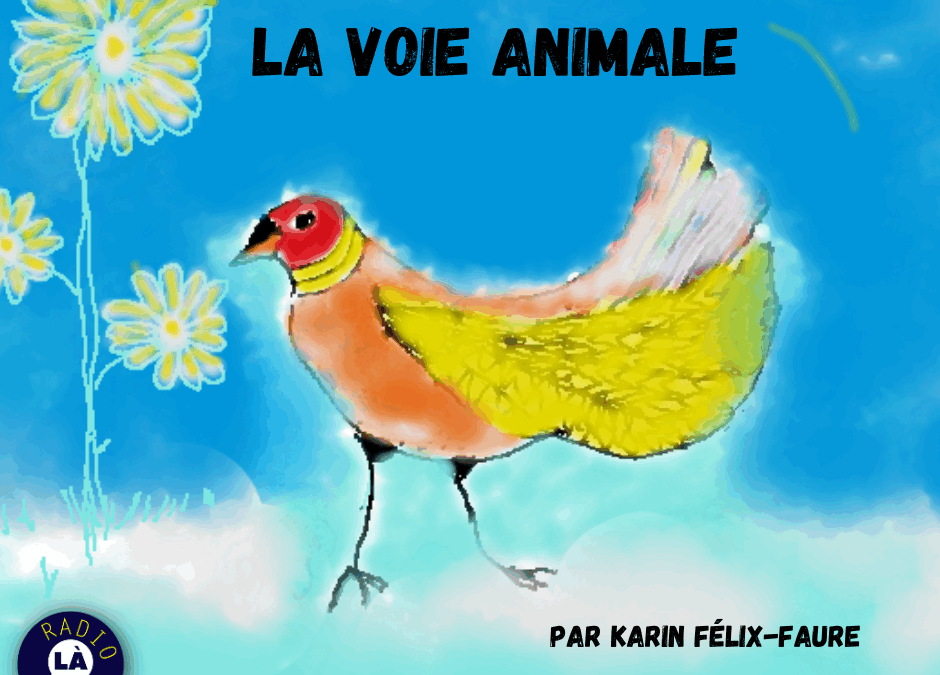 La voie animale #2 les animaux errants