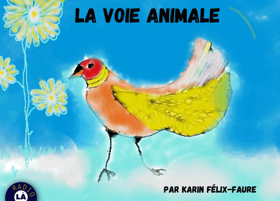 La voie animale #1 Les animaux de compagnie