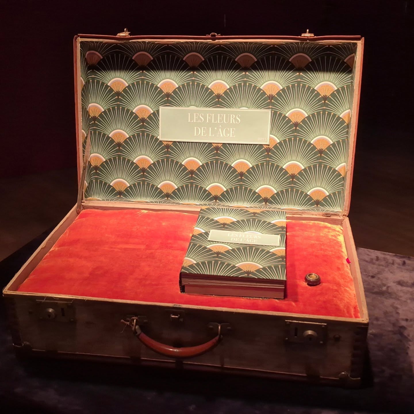 La valise sonore, un objet singulier fabriqué pour l'occasion.