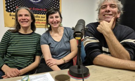 PROfusion, un collectif de céramistes en mouvement